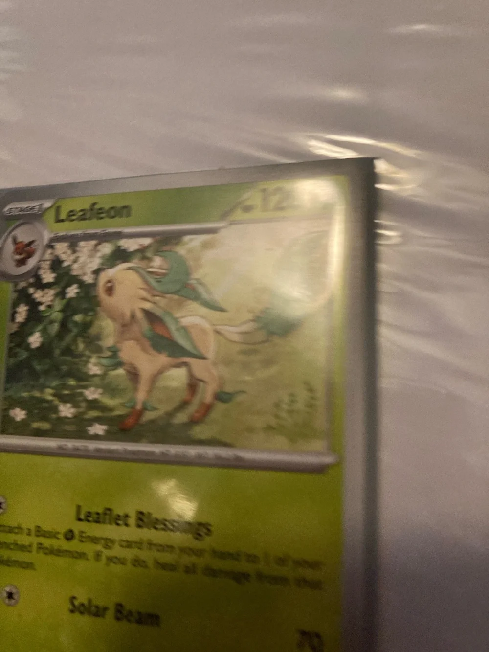 Pokemon Leafeon Green Trading Card and sleeve